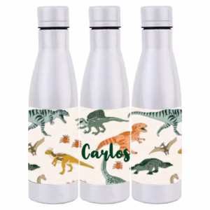 Botella Dinos 500ml